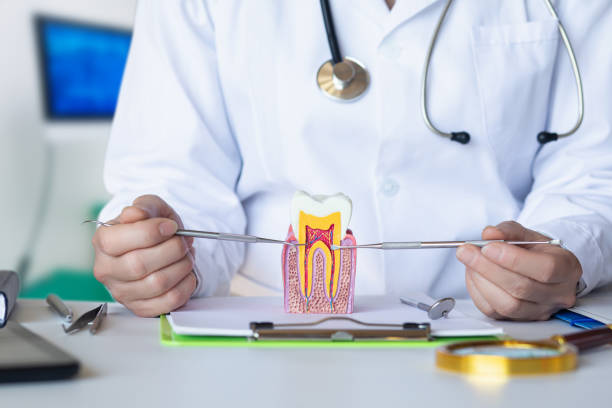 Best Pediatric Emergency Dentist in Orland Park, IL